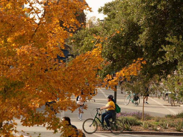 Trees are turning to their autumn color as a student with a bike helmet rides  across campus