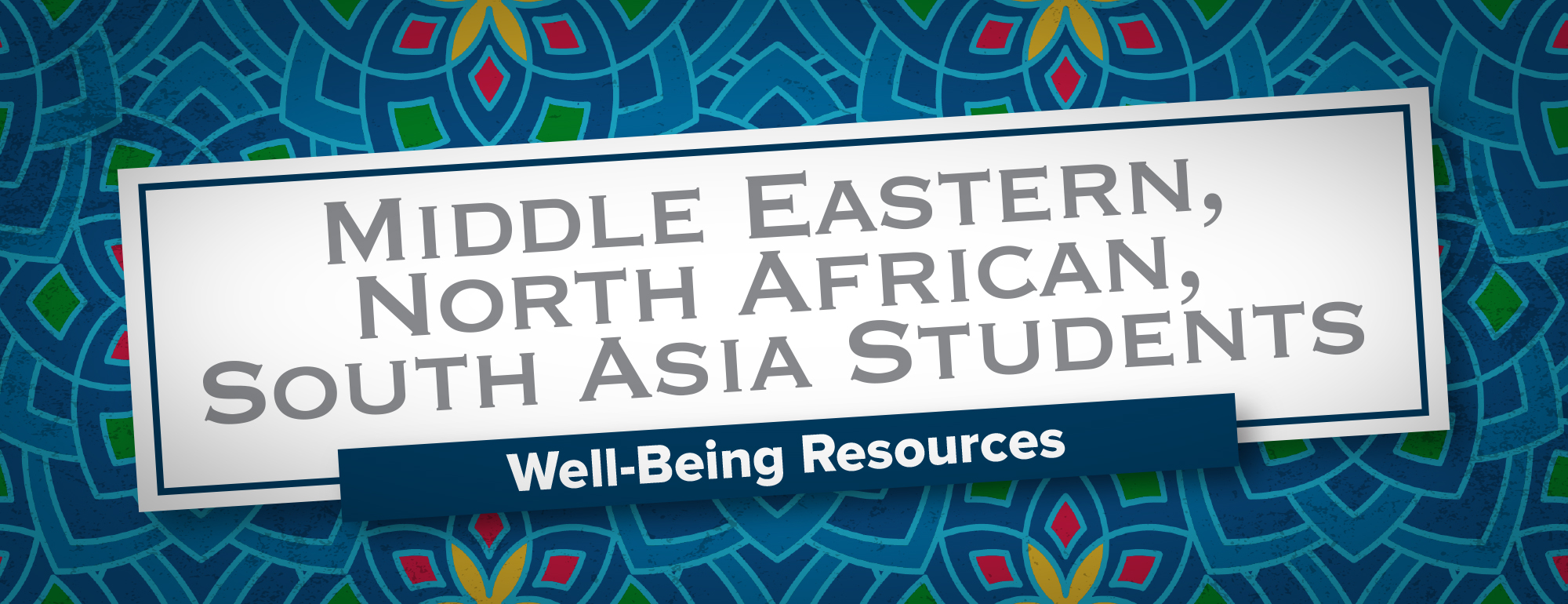 Middle Eastern, Northern African, South Asia Students