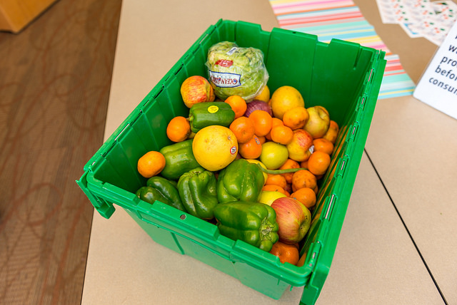 Vegetables picked from the student farm