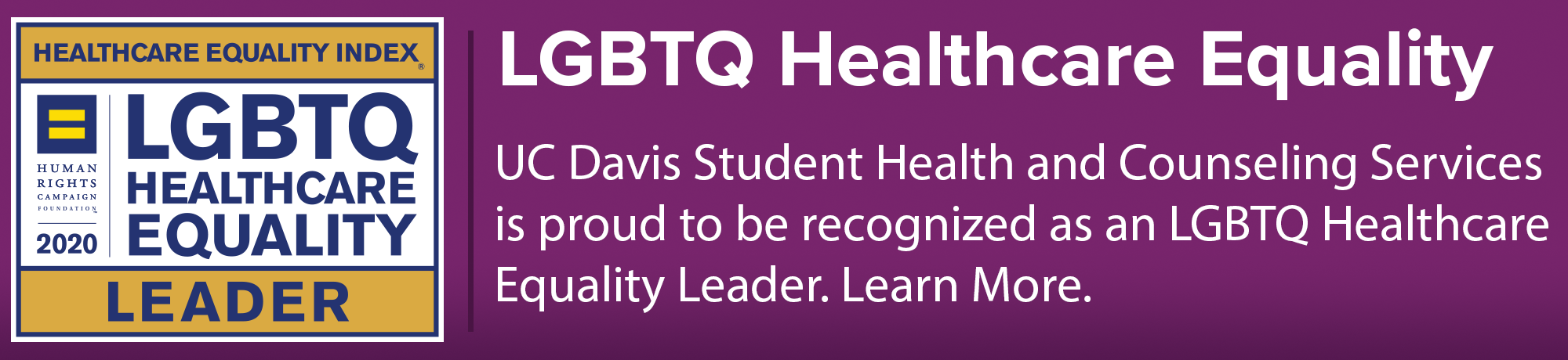 LGBTQ Healthcare Equality Leader 2020 Banner