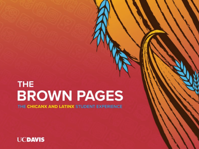 Red and orange abstract imagery with text "the Brown Pages"